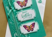 How to make a butterfly panel card - Crafty Carol's Cards