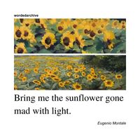 #quotes #sunflower #words