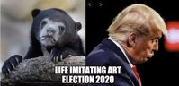 sad bear election meme #electionmemes #votingmemes #trumpmemes #biden2020 #trump2020