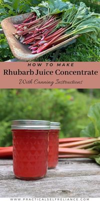 Rhubarb Juice Concentrate (with Canning Instructions)