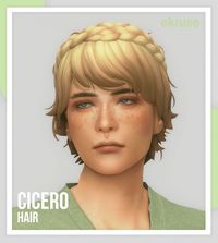 sims 4 Cicero Hair created by okruee