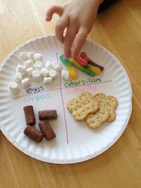 Edible butterfly life cycle - Jill! here's a food craft to go with your bugs! :)