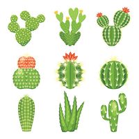 Vector set of colored cactus and succulent plants. Decorative isolated icons illustration. Cartoon style doodles.