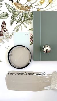 Heidi Smith | Paint & DIY Design | Isn’t the name of this color awesome! First, SAVE 💾 this one for later. Smoke and Mirrors from Benjamin Moore. The name says it all!... | Instagram