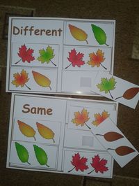 Same or Different Sorting -Autism & Special Needs Activity, for more resources follow https://www.pinterest.com/angelajuvic/autism-special-education-resources-angie-s-tpt-sto/