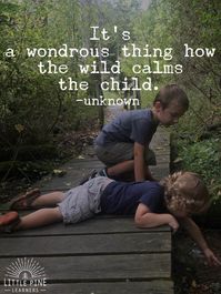 30+ Quotes About Children and Nature That Will Inspire Outdoor Play • Little Pine Learners