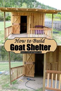 15 Free DIY Goat Shelter Plans - DIYs Craftsy