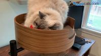 Introducing the Desk Nest, an innovative cat bed designed by Scott Salzman. Backed by a successful crowdfunding campaign, this cozy haven is perfect for your kitty to relax while you work or study. Watch as my sister's Ragdoll cats fall in love with their new favorite spot! And they are still using it every day.