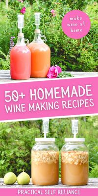 Have you dreamed of making the perfect homemade wine but weren't sure how to get started? Look no further - 50+ Wine Making Recipes for Homemade Wine has you covered! This comprehensive guide will teach you the basics of wine making, from wine making for beginners to the perfect wine making recipes for creating fruit wine, grape wine, and more. With detailed instructions and wine making equipment, you will have the perfect homemade wine in no time!