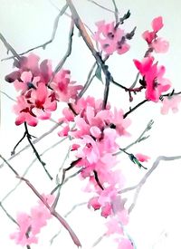 Cherry blossom original watercolor painting 20 X by ORIGINALONLY, $47.00