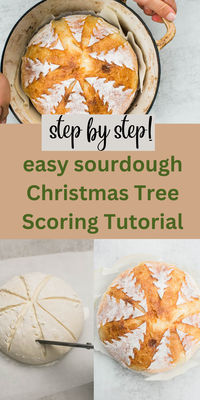 This easy sourdough bread scoring tutorial will show you how to make a score in the shape of a Christmas tree. Get step by step instructions on how to make a beautiful Christmas tree sourdough score.