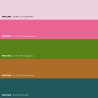 Floral Bright Green Pink and Brown Color Palette · Spring's vivid symphony with the Eclectic Neon color palette, a harmonious dance of color celebrating rejuvenation and life. · 2023 Color Trends · #Brown #Color #ColorPalette #FHICottonTCX #FHIMetallicShimmersTPM #Green #Pantone #PANTONE12-2905TCXCradlePink #PANTONE17-2235TCXSangriaSunset #PANTONE18-1160TCXSudanBrown #PANTONE19-4916TCXPacific ...