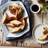 Tina's Delicious Chinese Dumplings