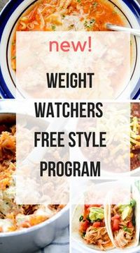 New Weight Watchers Free Style Program – Recipe Diaries