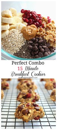 Oatmeal Breakfast Cookies the Whole Family Will Love - Food Kids Love