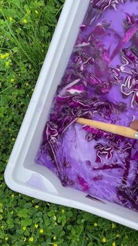 Red cabbage science experiment for kids 🥬 Did you know red cabbage is a natural pH indicator? Make magic colour changing paper in this fun science experiment! Chop red cabbage into small pieces Add hot water and stir to release the natural dye Dip thick paper or card into the dye and hang to dry (better results achieved by doing this multiple times) Squeeze a lemon and use the juice as ink to draw Watch the magic happen! Try painting with baking soda instead of lemon juice and see what hap...