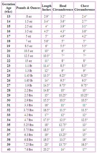 Premature Baby Growth Chart