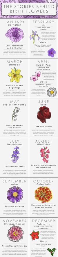 What's your birth flower? - Cosmopolitan.co.uk