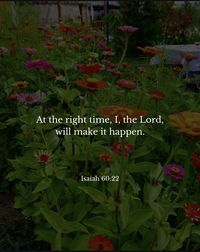 "At the right time, I, the Lord, will make it happen"

Isaiah 60:22

Bible on Instagram