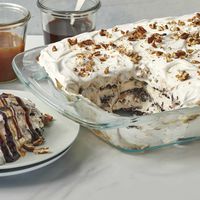 This ice cream sandwich cake is made by layering ice cream sandwiches with hot fudge, caramel, and whipped topping for a decadent frozen dessert.