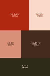 Colour Palette Branding | Branding Colour Palette Inspiration | Summer 2024 | Accessibility Colour Checked | Designed by Studio Pie, Branding & Squarespace Web Design. - Colours Featured Fire Engine: B02810 Cake Mix: FAD9C8 Sashimi: D99079 Biscuit Tin: 452B1E Old Oak: 2E2C18 - Tag me on studi0pie on Instagram if you use this in your moodboards! Let's connect ☺️