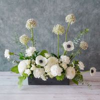 These white Allium balls just make me happy, they look like popsicles and create such a statement no matter how you use them. . Big week over here - event season starts for me and my team! Heading to SFFM to grab the first batch and then off to crazy town. Flower recipe: All white centerpiece in dark vase - white anemones, white allium (gladiator), green trick dianthus, white mums, white carnations, wax flower, and plenty of green foliage.