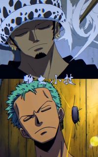 #anime#onepiece#zoro#law