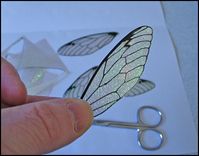 How to make iridescent Fairy wings – Recycled Crafts