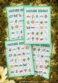 Nature Bingo (Free Printables) - The Best Ideas for Kids