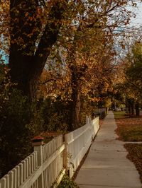 Halloween in Prescott Arizona – Doris Day Would Love Me