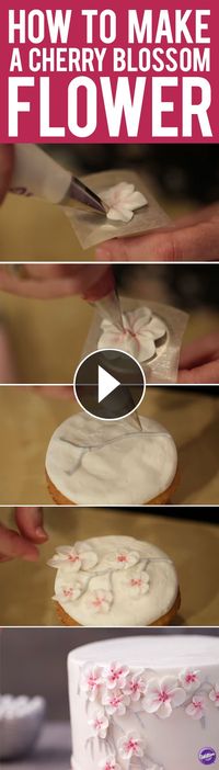 Learn how to make a buttercream cherry blossom flower that would add beauty to any cake or cupcake! You will need petal tips 101, 102, and 103 to create this pretty flower. Click to watch the step-by-step video tutorial.