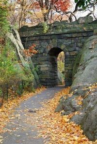 Stone Bridge in Central Park