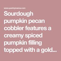 Sourdough pumpkin pecan cobbler features a creamy spiced pumpkin filling topped with a golden baked crunchy cobbler topping. So good!