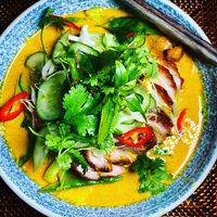 Slow Roasted Duck Laksa — Em's Food For Friends