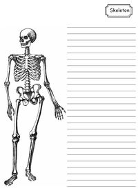 Skeleton Notebooking Paper