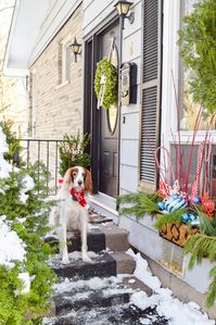 Give your home a classic & colourful holiday porch makeover with the help of Behr paint! Who doesn't need a sexy new black door, and colourful window baskets.