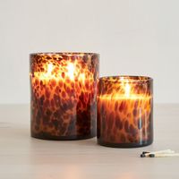 Tortoise Candle, 1 Wick, Tortoise | West Elm