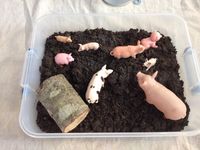 Pig pit sensory bin