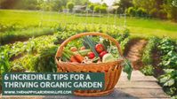 Proper garden planning, soil enhancement, mulching, planting as well as watering are all important in your quest for a successful garden.