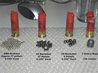 Guide to Shotgun Shell Types