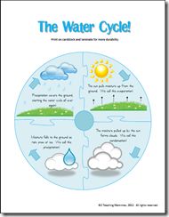 This could be used to introduce what the water cycle consists of and could be printed out and given to the students to keep in their science folder.