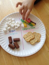 Edible Butterfly Life Cycle--I'm going to use this idea rigiht away, except chrysalis is spelled incorrectly (that's the teacher in me making corrections!).