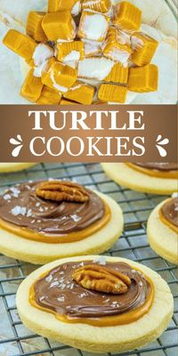 Reminiscent of everyone's cherished candy, these Turtle Cookies are the perfect combination of rich chocolate, chewy caramel, and crunchy pecans. They are so irresistibly good, you won't be able to eat just one, guaranteed! Perfect for the upcoming holiday season, family get-togethers, cookie exchanges, or just when you need to satisfy your sweet tooth 👇Easy Turtle Cookies https://www.southerncrushathome.com/easy-turtle-cookies