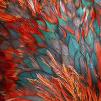 teal and orange: colour combination inspiration #Autumn #Style #T3