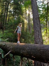 #naturewalk #nature #hiking #forest #adventuring #adventurecore #treetrunk #outdoors #outdoorsy