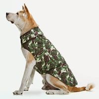 Roupa para cachorro - Modelos e Moldes - Toda Atual