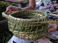 Harvesting Cattails For Basketry: The Basics and Beyond -