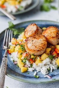 Pan-Seared Scallops with Coconut Rice and Pineapple Salsa will instantly give you all the island vibes. Perfectly seared scallops sit atop a pile of sweet pineapple salsa and creamy coconut rice, and easy 30 minute dinner!