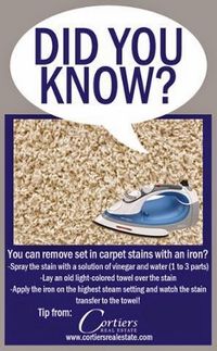 So you have stains in your carpet… Now what?  Iron it! You heard us right! Check out our #tiptuesday to see how! - Cortiers Real Estate - Google+