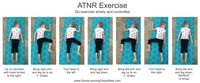 Retained Asymmetrical Tonic Neck Reflex Exercise